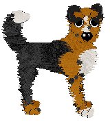 Profile image of Sz's Look Over Here