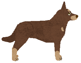 Wulver Deceives the Eye — “Buddy”