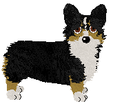 Profile image of Wulver Nipping Heels