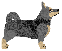 Cansas' Running Blind — “Lola”