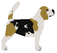 Pemberley Uptown Life — “Saffy”