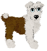 EC's Button In Ear at Chachke — “Steiff”