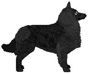 Profile image of Gracepoint Black Heretic