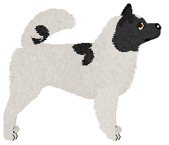 Monkshood Dancing Dragon — “Mangkorn”