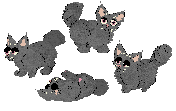 Profile image of AbbysPetz/Winter's Silversoft Cat