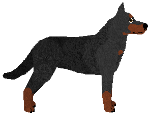 Dragosani SPECIAL FORCES — “Dingo”