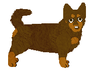 Profile image of Dragosani NIE LUBIĘ KOLORU CZEKOLADOWEGO