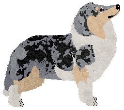 Gracepoint Memsie Stakes from Gemstone — “Farley”
