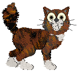 Tangle's The Floor is Lava — “Maggie”