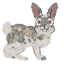 Profile image of Xoops Moondust Magic at Cirrutopia