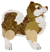 NSP/TaigaPaws Keeper of the Tundra at Wolf Hollow — “Tundra”