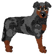 Profile image of Fleetrun Chocolat