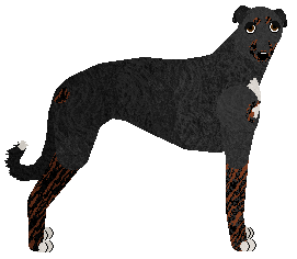 Profile image of Polka Dajcie czasowi Czas