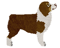 Gracepoint Captain Coconut — “Husky”