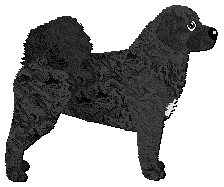 Profile image of Dalheaf Two for Mirth