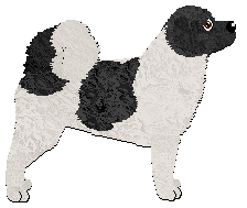 Profile image of Dalheaf Soul of a Poet