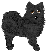 Profile image of Wolf Hollow's Nybro