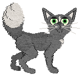 Profile image of HAL's Veil of Eternal Night @ Mockingbird