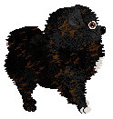 Profile image of Arrow's Faust Road
