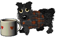 Sz/Chachke's Hot Toddy — “Toddy”