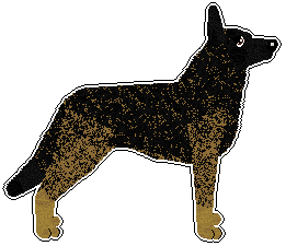 Profile image of Freiwind Look Up