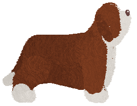 Cansas' Red Licorice — “Lu”
