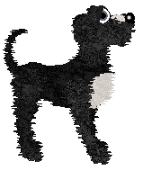 Samhain/Stunt's Mischief Maker — “Loki”
