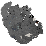 Vanillabel's Siberian Legacy — “Legacy”