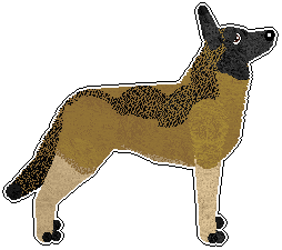Profile image of Freiwind Flying Away