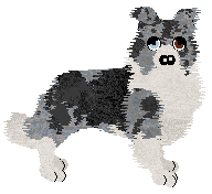 Profile image of Come Bye's Handsome is as Handsome Does at SzK