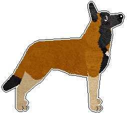 Profile image of Freiwind In Search of Freedom