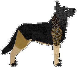 Profile image of Freiwind Speed ​​Formula