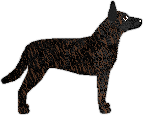 Profile image of Counterstrike's Bitey Face