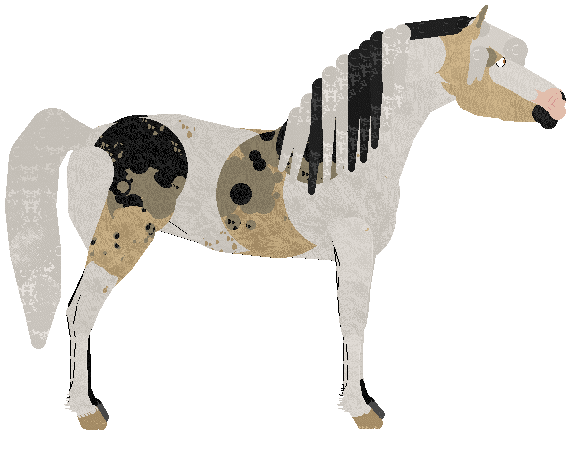 Profile image of CHR's Fairest of Olympus at Sakura Ridge