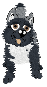 Profile image of Vanillabel's Sparkling Midnight Gala