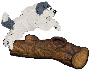 Cirrutopia's Ancient Song — “Music”