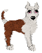 Profile image of Sz's Morchella