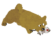 Dalheaf Air Potato — “Percy”