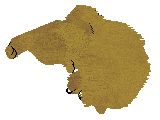 Dalheaf Air Potato — “Percy”