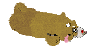 Dalheaf Air Potato — “Percy”