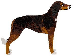 Sandswept Playing With Fire — “Arson”