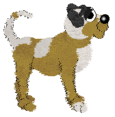 Funfetti's Prestigious Design — “Wicket”