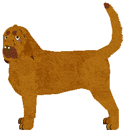 Profile image of Lapis Arcadian Bear-Mother