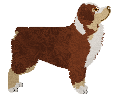 Tarot Karma's Manifestation — “Karma”