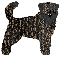 Gemstone's Highly Informal at Sable — “Cas”