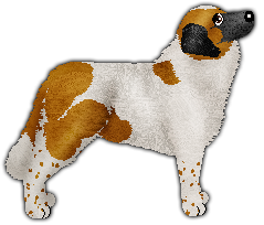Profile image of Dragosani WONDERWALL
