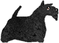 Profile image of Blackbriar's Homes Fit for Heroes