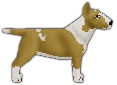 Profile image of Kamvis' Golden Heart