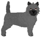 Profile image of Daisybrook's Granite Hearth