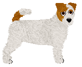 Profile image of Daisybrook's Foxfire